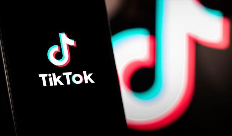 Scenarios for selling TikTok to Elon Musk after ban threat